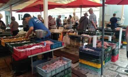 Rybí trh ve Splitu nesmíte minout